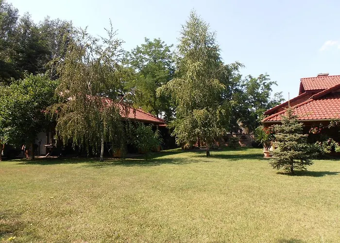 Апартаменты Palya Vendeghaz *